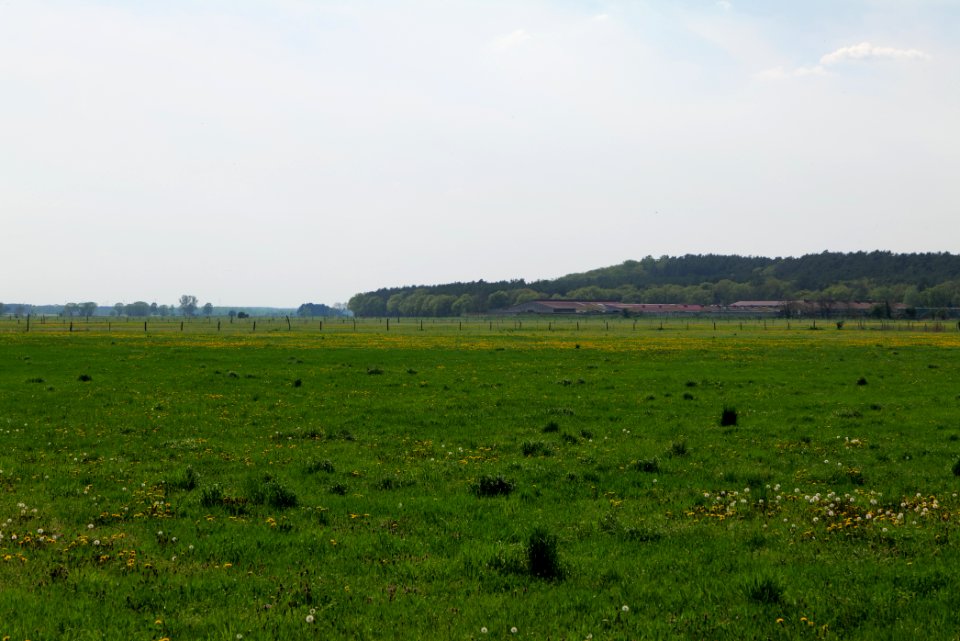 Notte-Niederung 2021-05-11 204