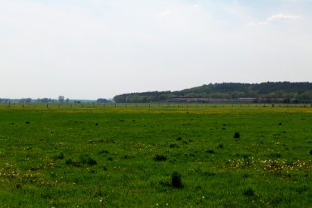 Notte-Niederung 2021-05-11 204