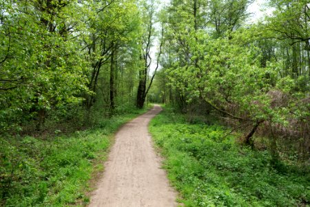 Notte-Niederung 2021-05-11 56