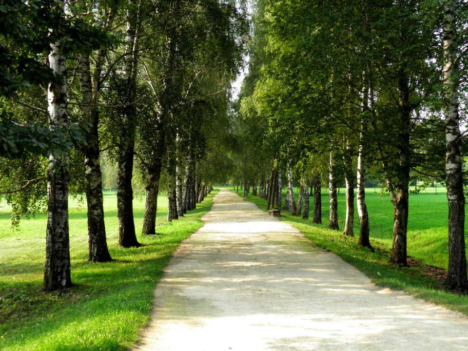 Neretasparks