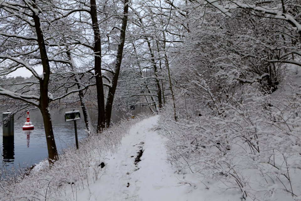 Next to Griebnitzkanal with snow 2021-01-30 02