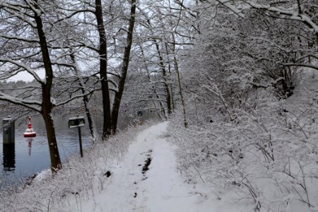 Next to Griebnitzkanal with snow 2021-01-30 02