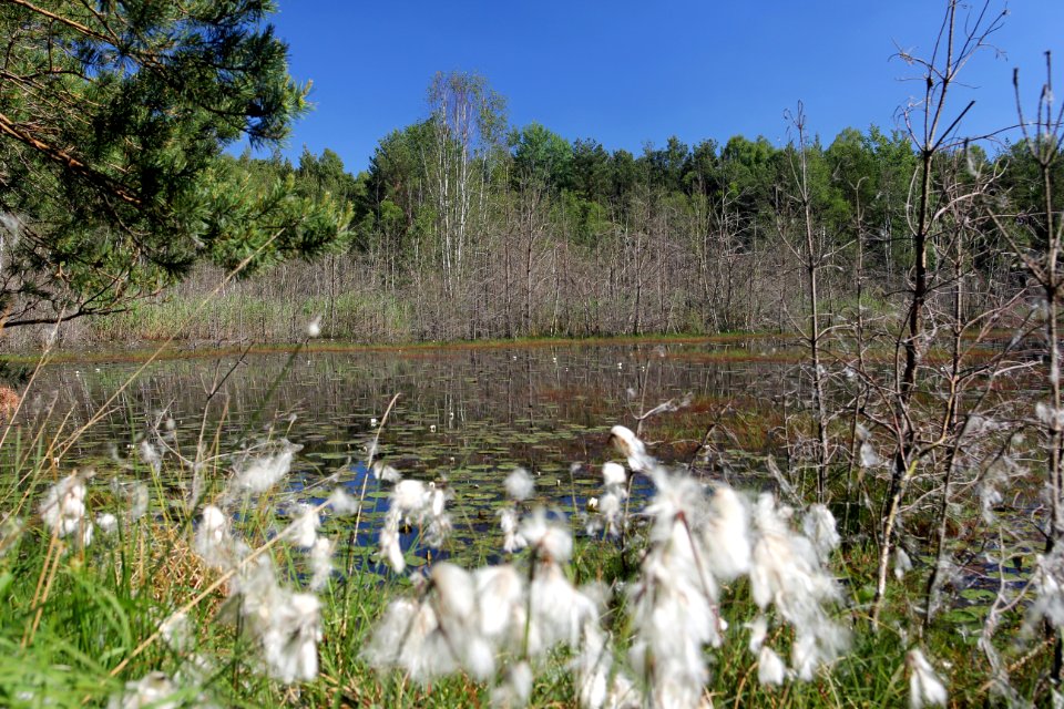 Naturschutzgebiet Loben 18