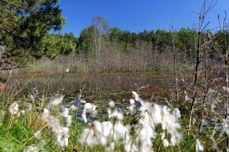 Naturschutzgebiet Loben 18
