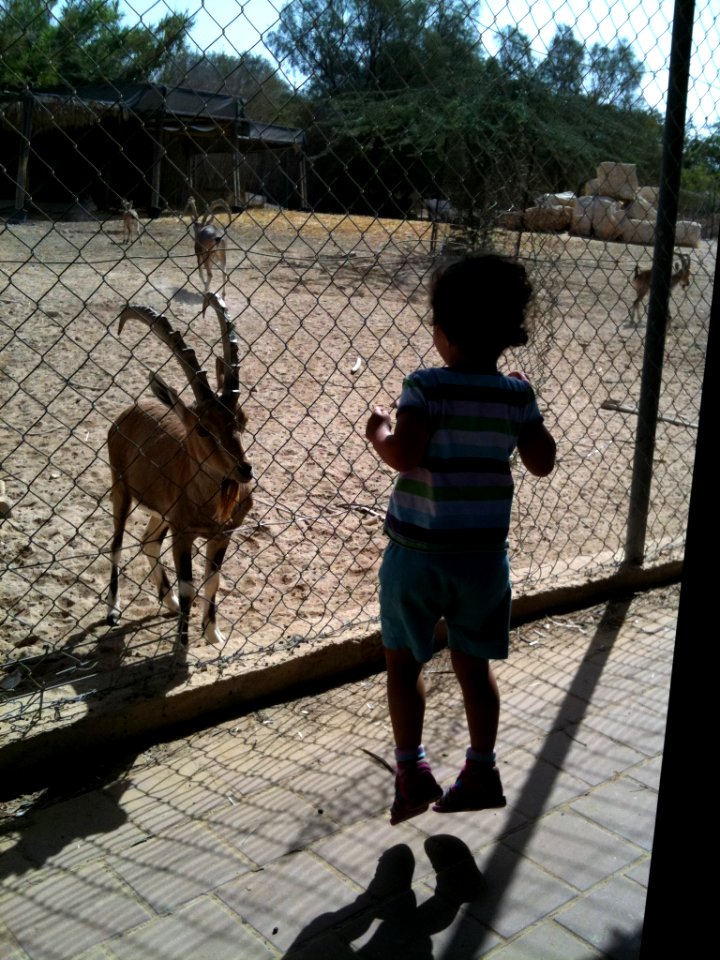Negev Zoo Beersheva Israel IMG 0577