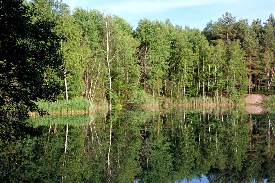 Naturschutzgebiet Loben 26