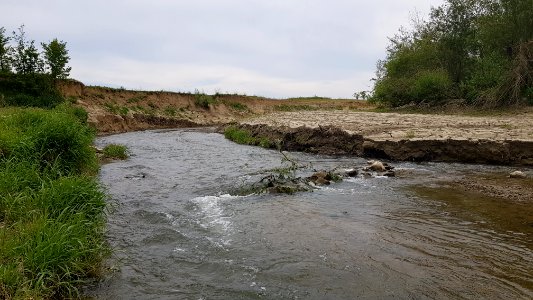 Voulwames-monding van de Geul (4)