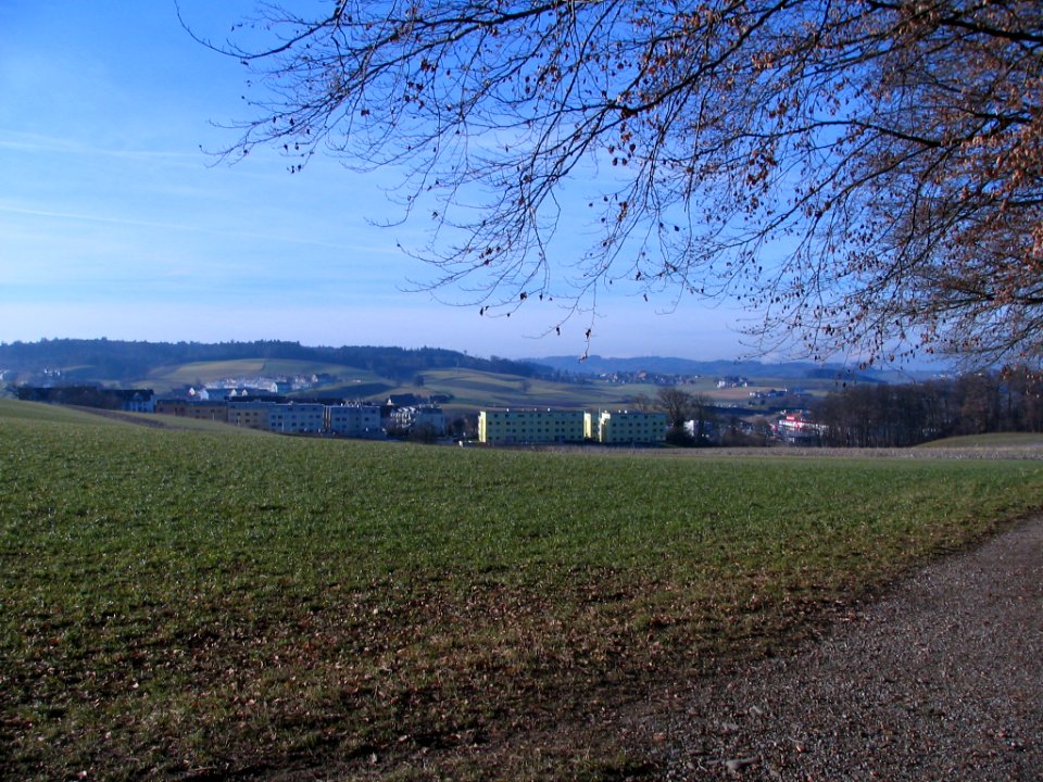 Niederwangen Ried