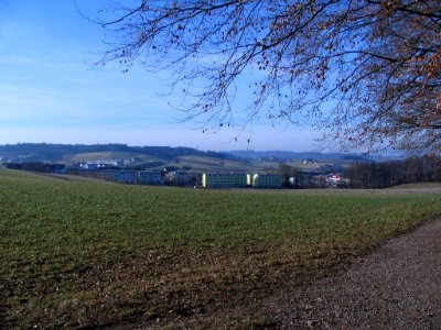 Niederwangen Ried