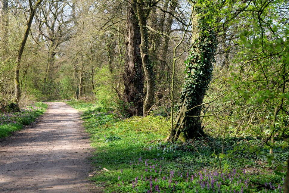 Niedwald 2020-03-27 05