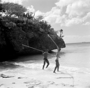 Vissers met speren aan de Sint Michielsbaai aan de Zuidkust van Curaçao, Bestanddeelnr 252-7518
