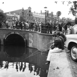 Vissen in de Amsterdamse grachten, Bestanddeelnr 911-4736