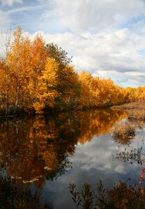 Reflection autumn forest golden autumn photo