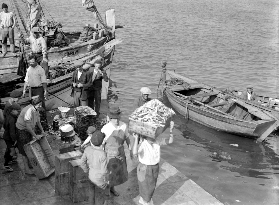 Vissers laden hun vangst uit in de haven van Lissabon, Bestanddeelnr 191-0209
