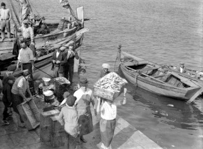 Vissers laden hun vangst uit in de haven van Lissabon, Bestanddeelnr 191-0209