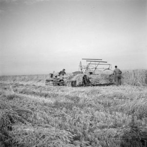 Vrijwilligers helpen de boeren in de Noordoostpolder, Bestanddeelnr 900-5644