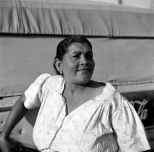 Vrouw op de markt in de haven van Oranjestad op Aruba, Bestanddeelnr 252-7862