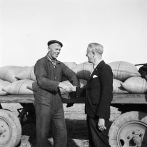 Vrijwilligers helpen de boeren in de Noordoostpolder, Bestanddeelnr 900-5636