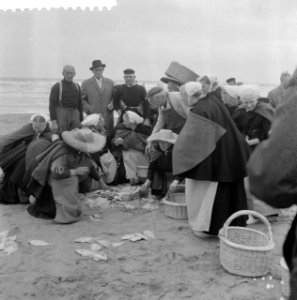 Visafslag op Scheveningen Rest 124984, 124985, Bestanddeelnr 912-4967