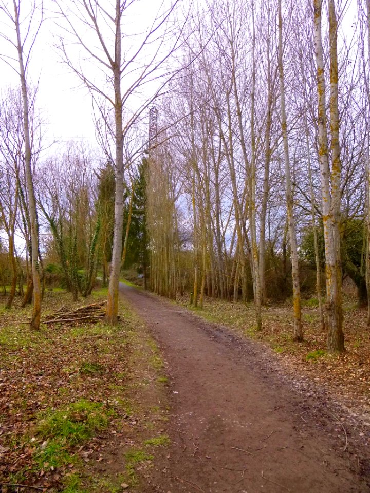Vitoria - Anillo Verde, Parque del Zadorra 09