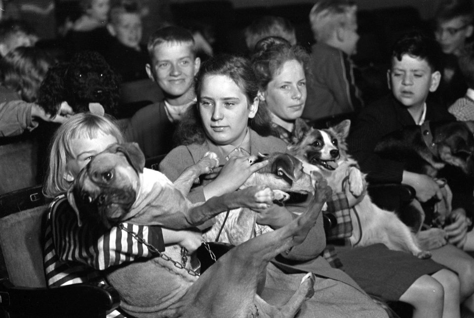 Voorstelling in het Rextheater voor honden met hun baas, Bestanddeelnr 910-5591