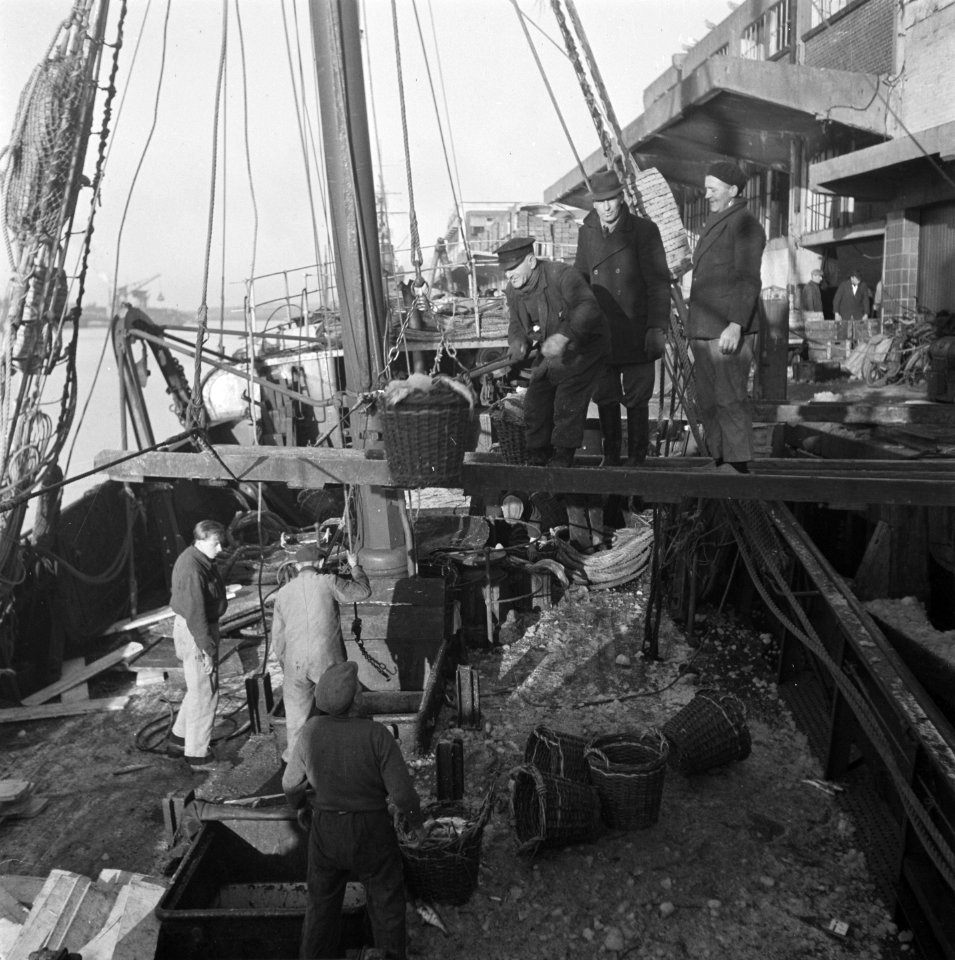 Visafslag IJmuiden, Bestanddeelnr 901-3930