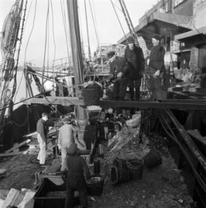 Visafslag IJmuiden, Bestanddeelnr 901-3930