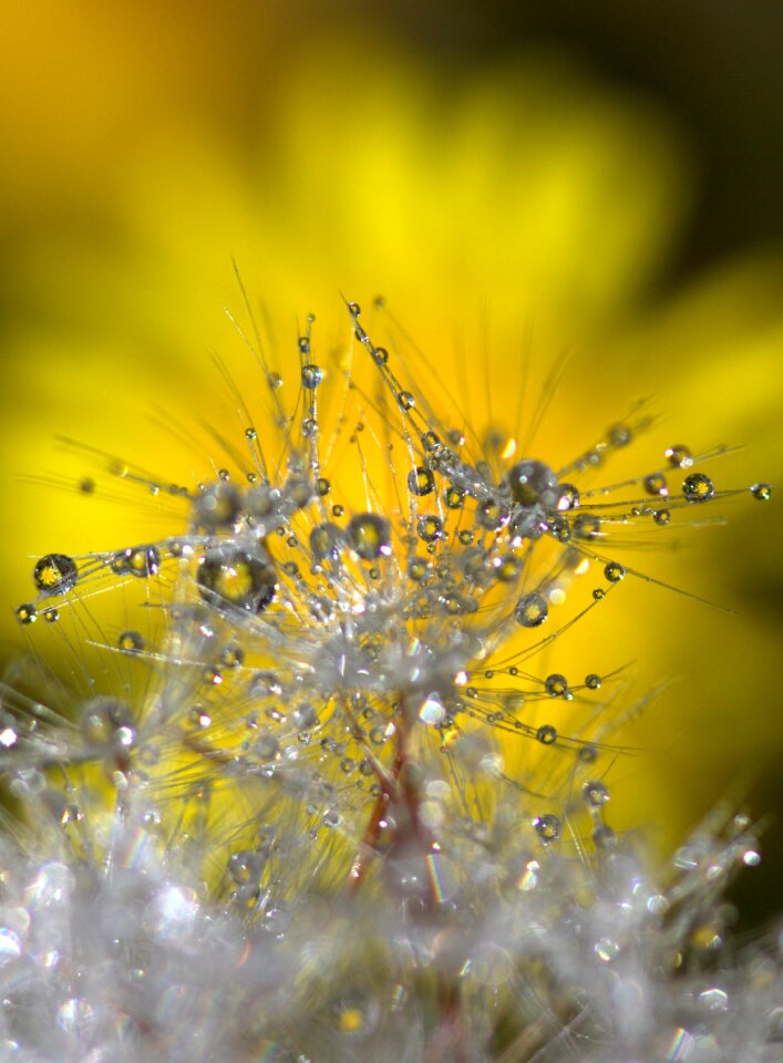 Reflection yellow wet