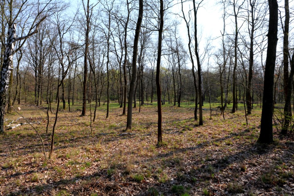 Volkspark Wuhlheide 2021-04-20 15
