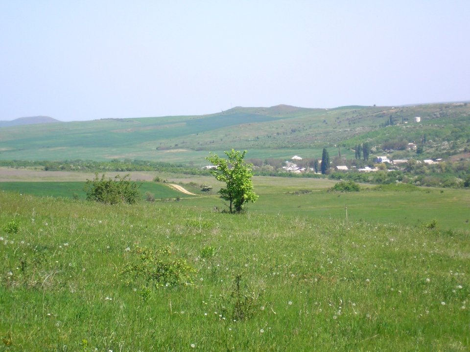 VishnyovoeBelogorsk 2