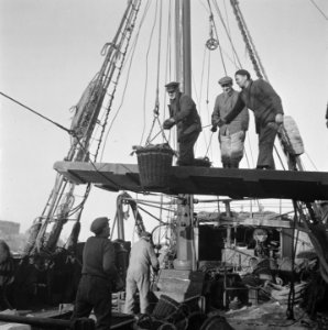 Visafslag IJmuiden, Bestanddeelnr 901-3846