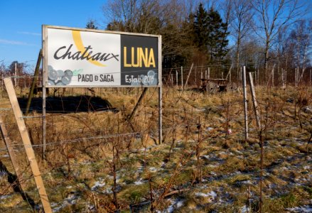 Vines and sign in Cateaux Luna vineyard