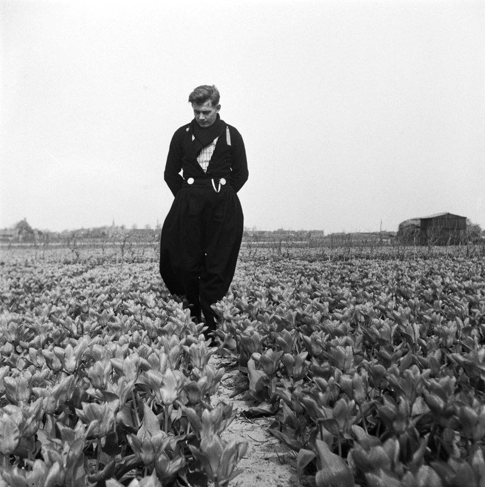 Volendam bezoekt de bollen, Bestanddeelnr 902-1372