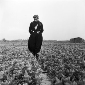 Volendam bezoekt de bollen, Bestanddeelnr 902-1372