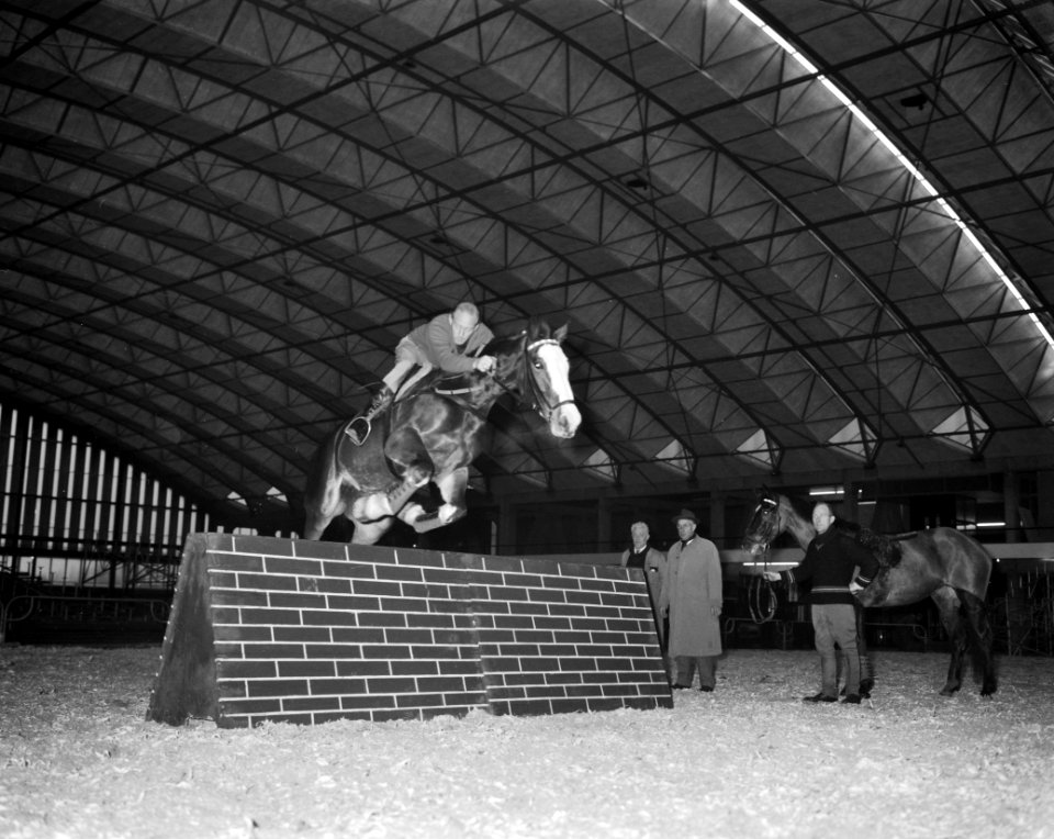 Voorbereidingen voor Indoor Concours Hippique in de RAI Ruiter J van Tiel op Gr, Bestanddeelnr 913-2334