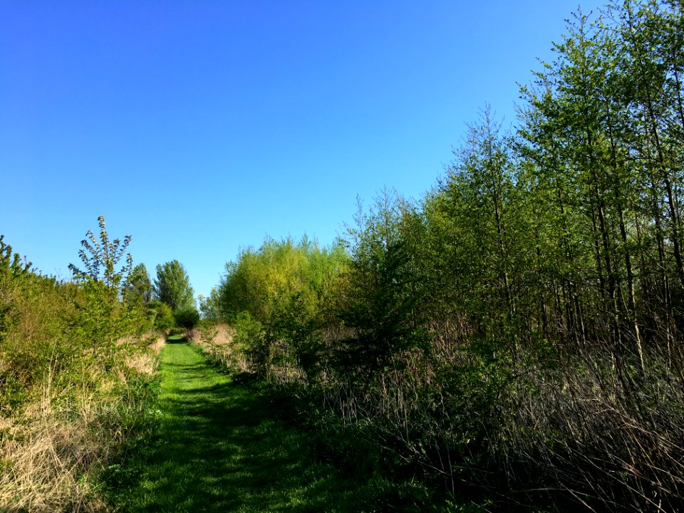 Voedselbos op Landgoed Doornik