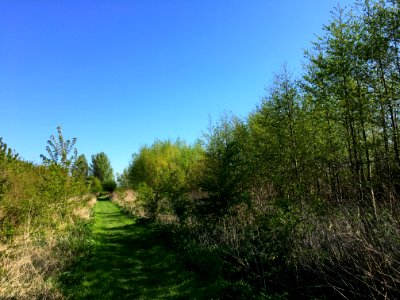 Voedselbos op Landgoed Doornik