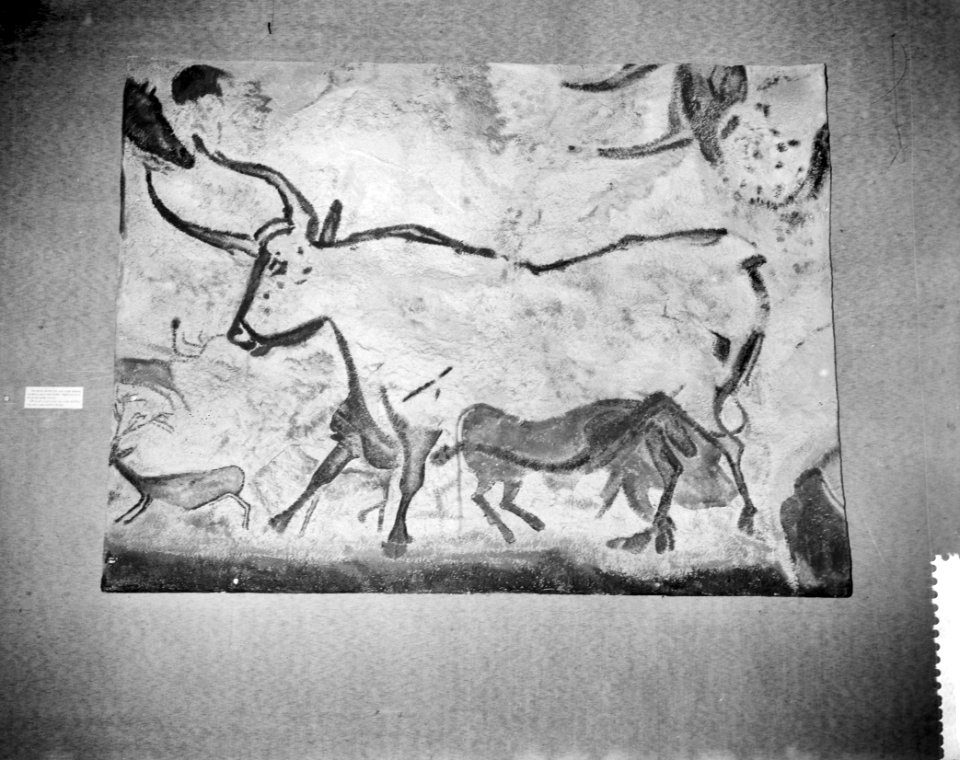 Voorbezichtiging tentoonstelling De IJsstijden in het Zoologisch Museum te Ams, Bestanddeelnr 910-8922