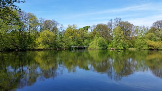 Summer landscape pond