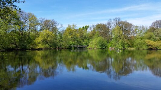 Summer landscape pond photo