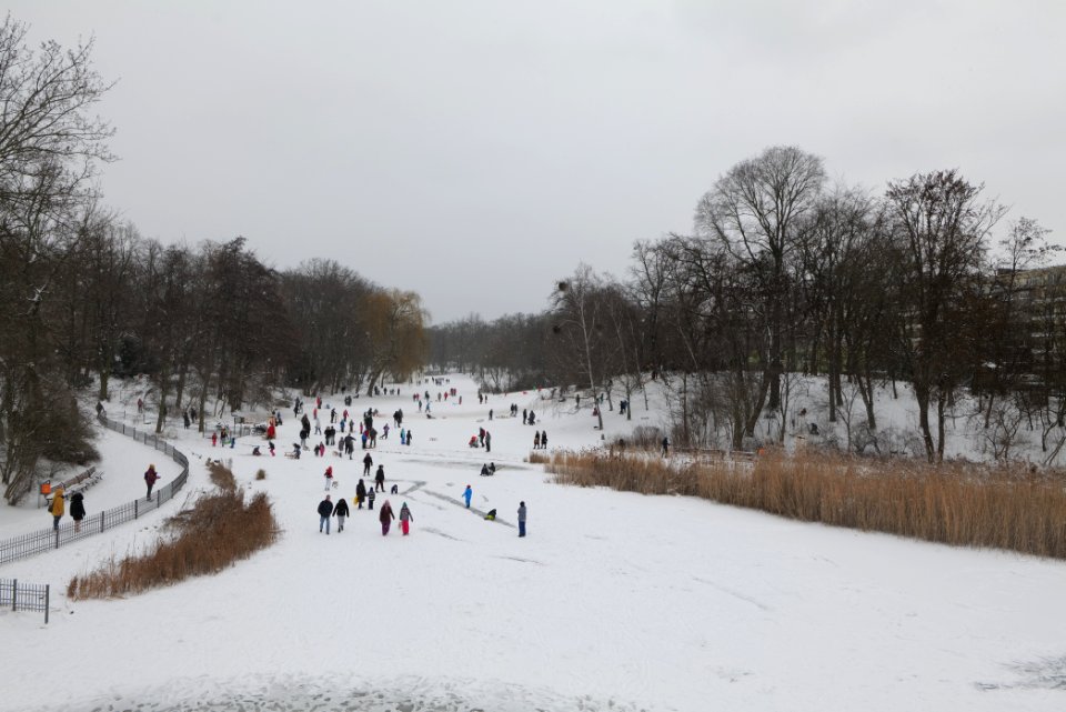 Volkspark Wilmersdorf with snow 2021-02-08 17