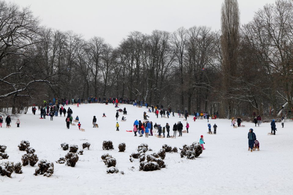 Volkspark Wilmersdorf with snow 2021-02-08 03