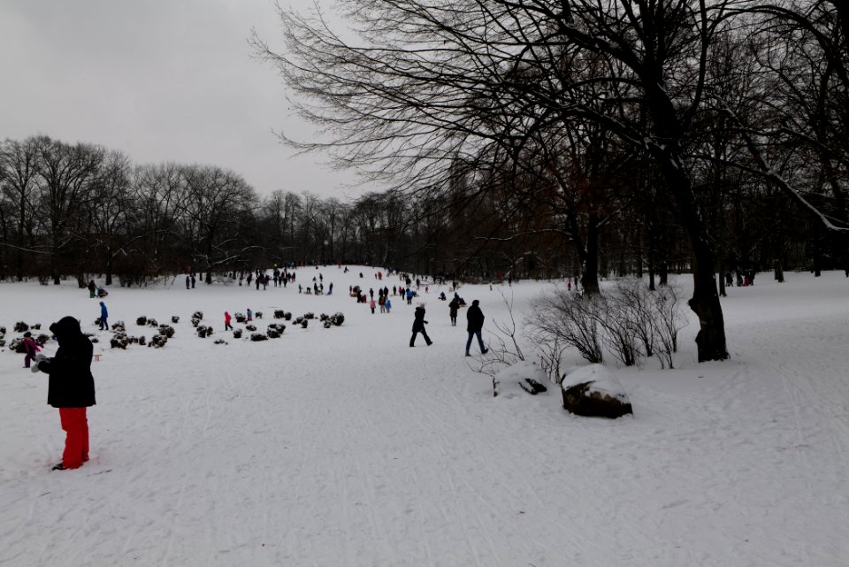 Volkspark Wilmersdorf with snow 2021-02-08 01