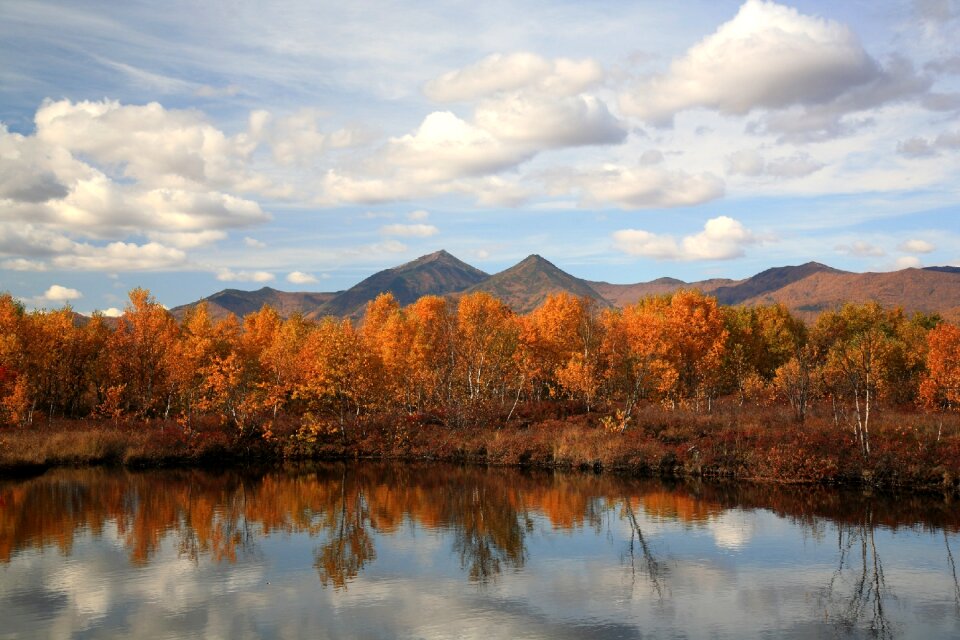 Reflection autumn forest golden autumn photo