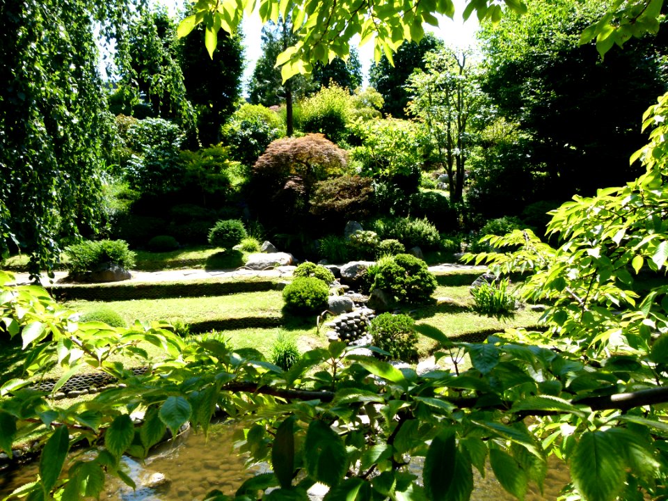Vue du jardin Albert Kahn 5