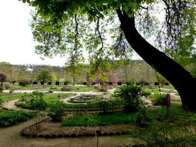 Vue du Jardin des Plantes - école de botanique
