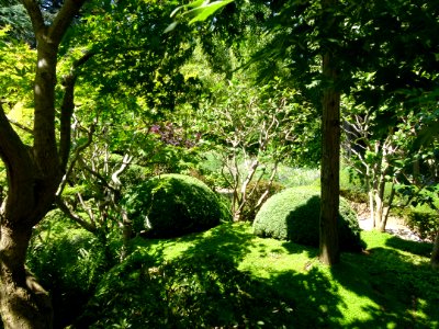 Vue du Jardin Albert Kahn 2