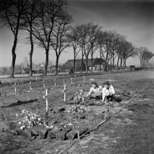 Vrouwen verzorgen de graven van Canadese militairen die zijn gesneuveld tijdens, Bestanddeelnr 900-2649