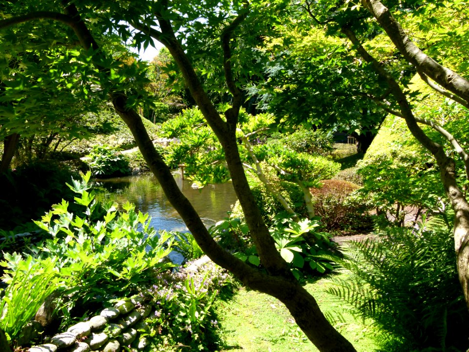 Vue du Jardin Albert Kahn 3
