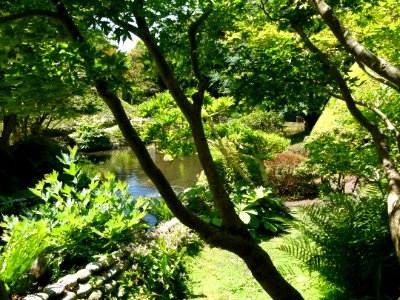 Vue du Jardin Albert Kahn 3